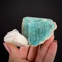 Microcline var. Amazonite with Albite - image 1