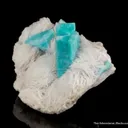 Microcline var. Amazonite with Albite var. Cleavelandite - image 3