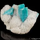 Microcline var. Amazonite with Albite var. Cleavelandite - image 2