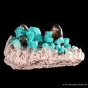 Microcline var. Amazonite with Smoky Quartz - image 1