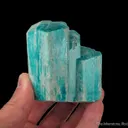 Microcline var. Amazonite with Smoky Quartz - image 5