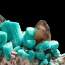 Microcline var. Amazonite with Smoky Quartz - image 5