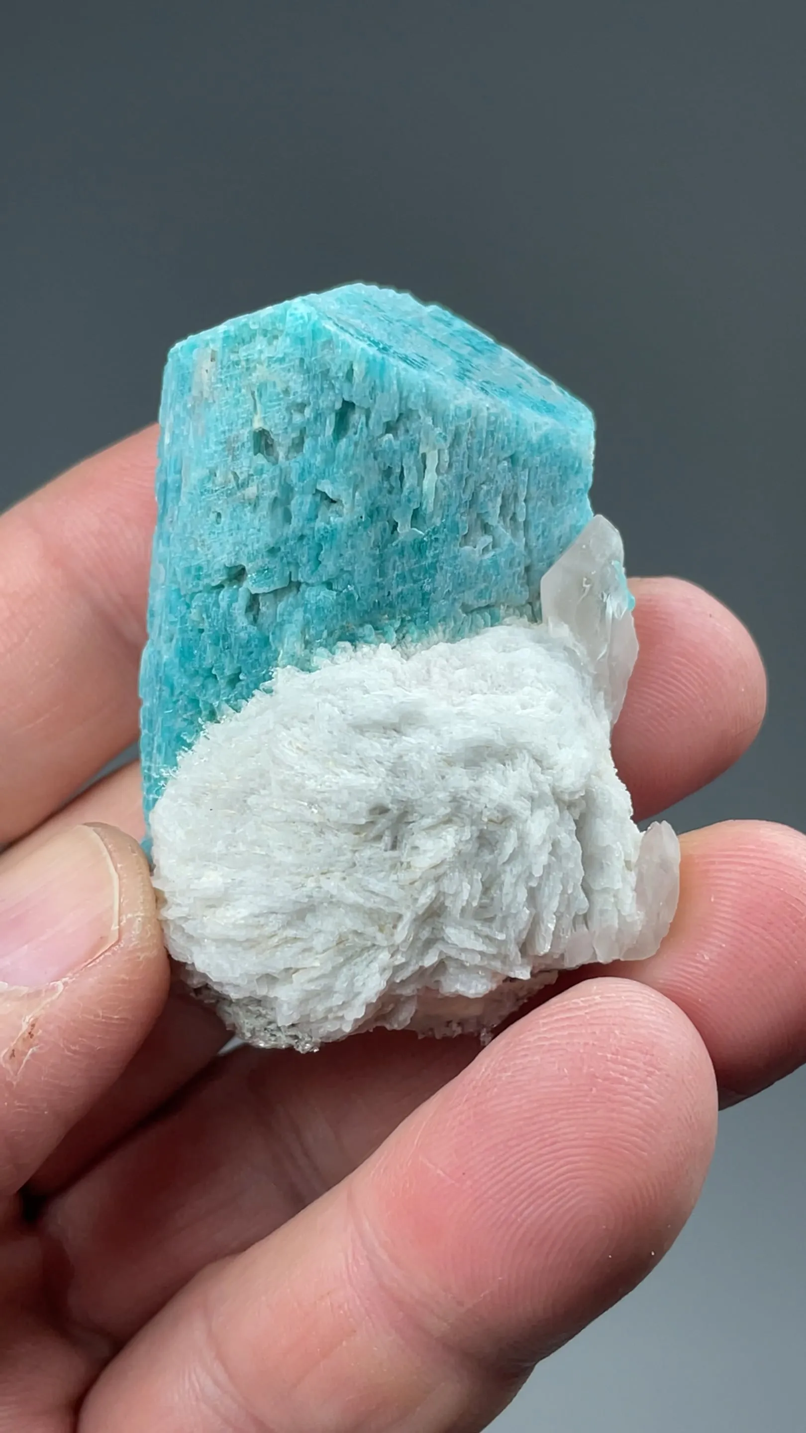 Microcline with Albite - image 2