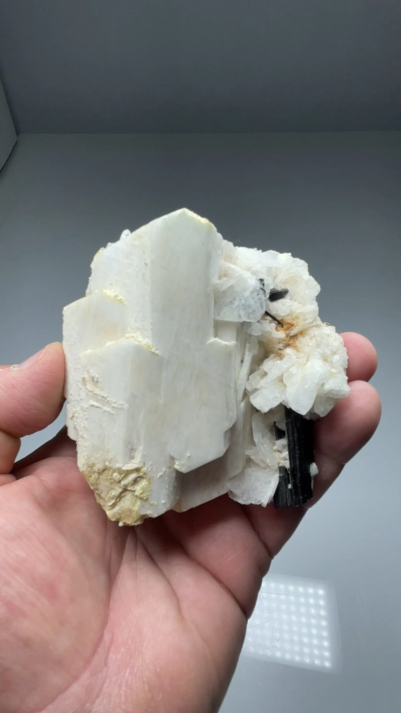 Microcline with Albite, Schorl - image 2