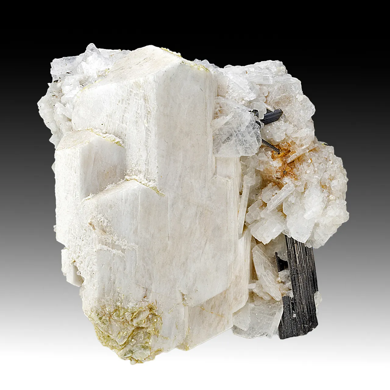 Microcline with Albite, Schorl - image 1