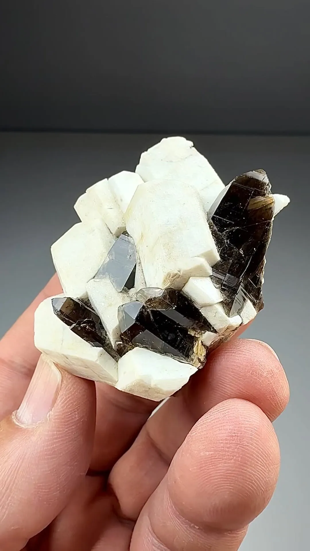 Microcline with Quartz (1227) - image 2