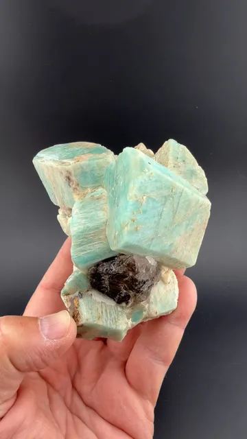 Microcline with Quartz