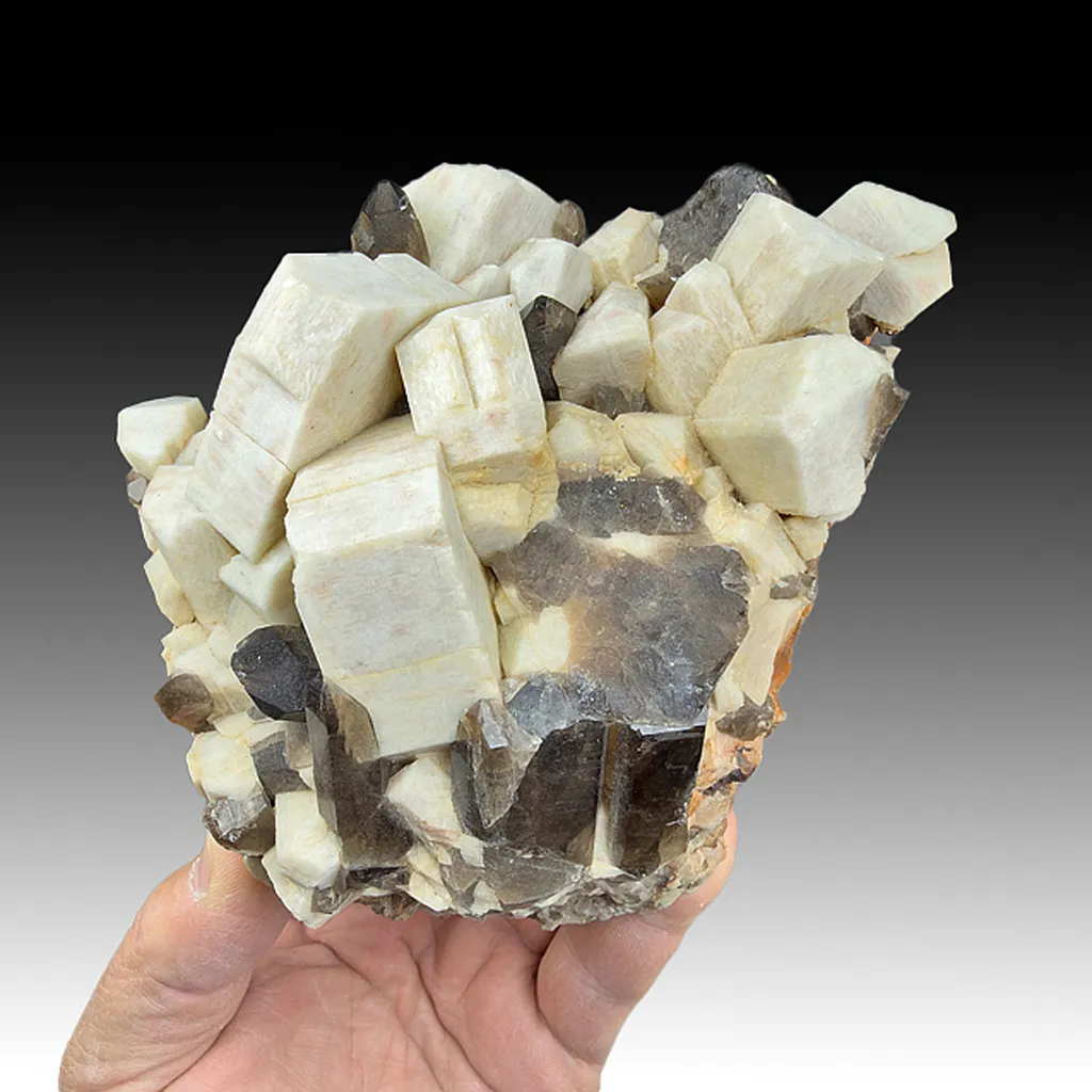 Microcline with Quartz image