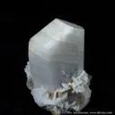 Microcline With Quartz, Cleavelandite, and Muscovite - image 3