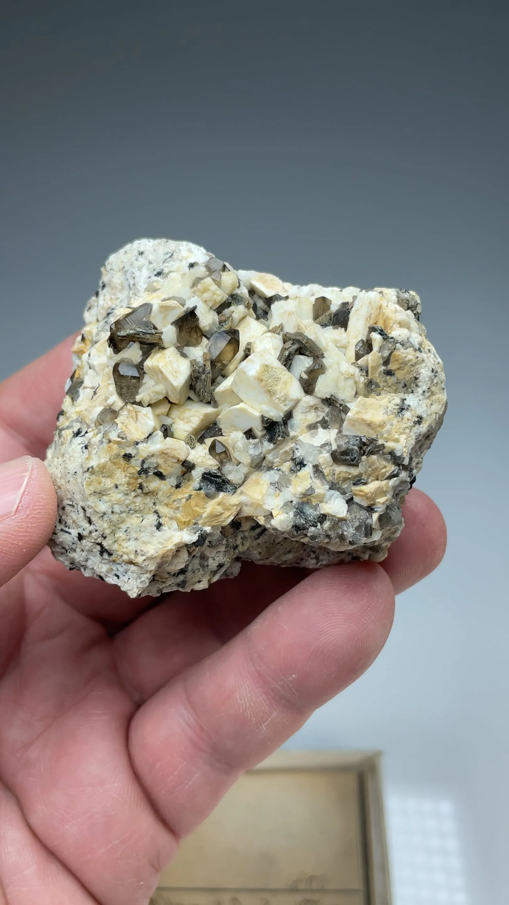 Microcline with Quartz, Muscovite - image 2