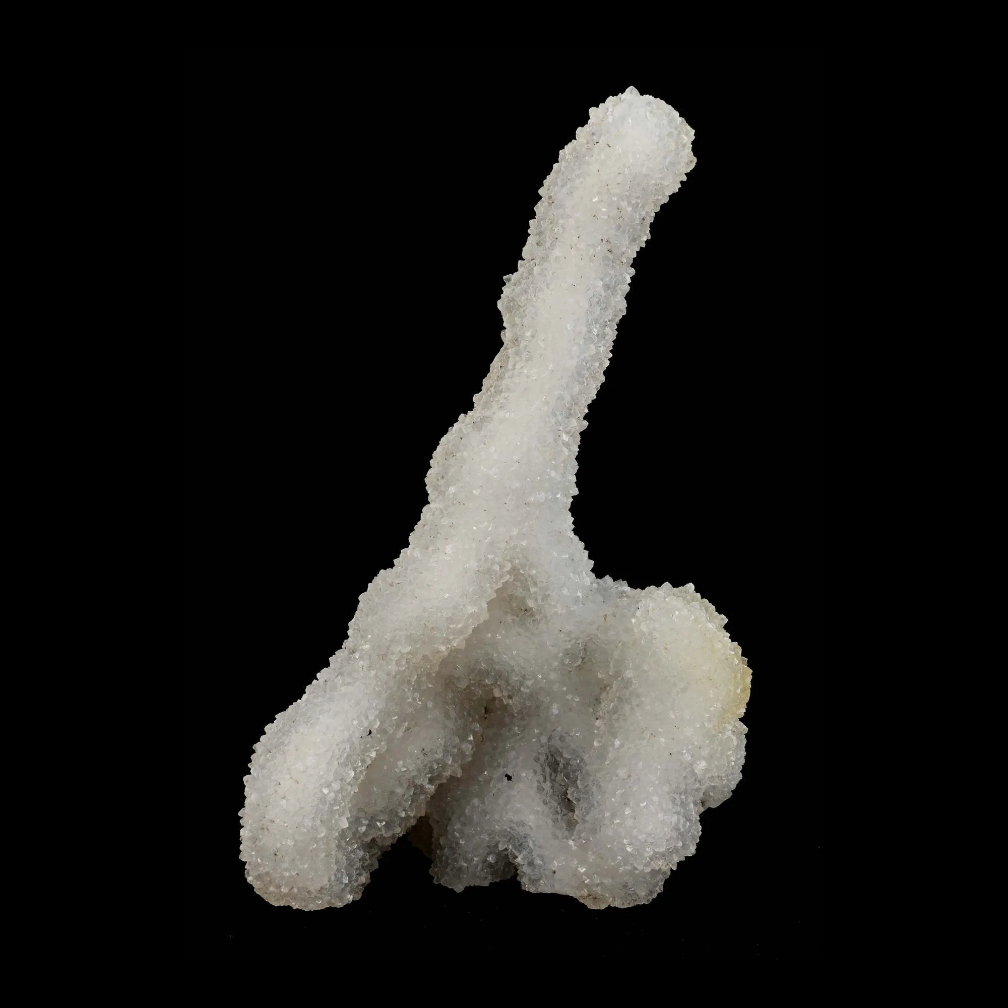 Microcrystaline MM Quartz Coral Formation Natural Mineral Specimen - image 1