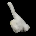 Microcrystaline MM Quartz Coral Formation Natural Mineral Specimen - image 3
