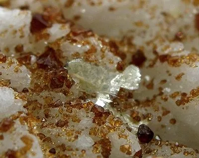 Microlite, Albite - image 2