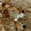 Microlite, Albite - image 2