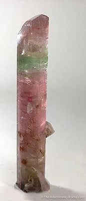 Microlite Included In Tourmaline (Floater) - image 3