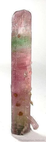 Microlite Included In Tourmaline (Floater) - image 2