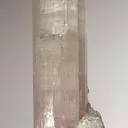 Microlite, Lepidolite, Elbaite - image 1