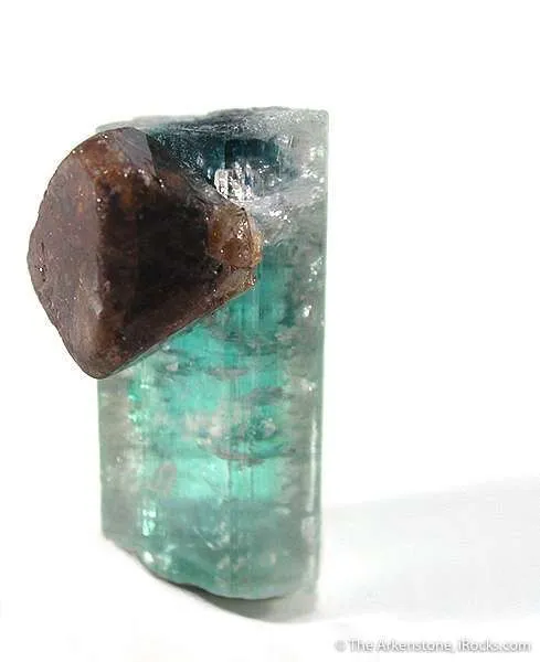 Microlite on Tourmaline image