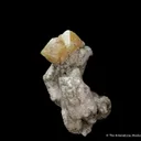 Microlite species on Albite - image 8