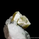 Microlite species on Albite - image 7