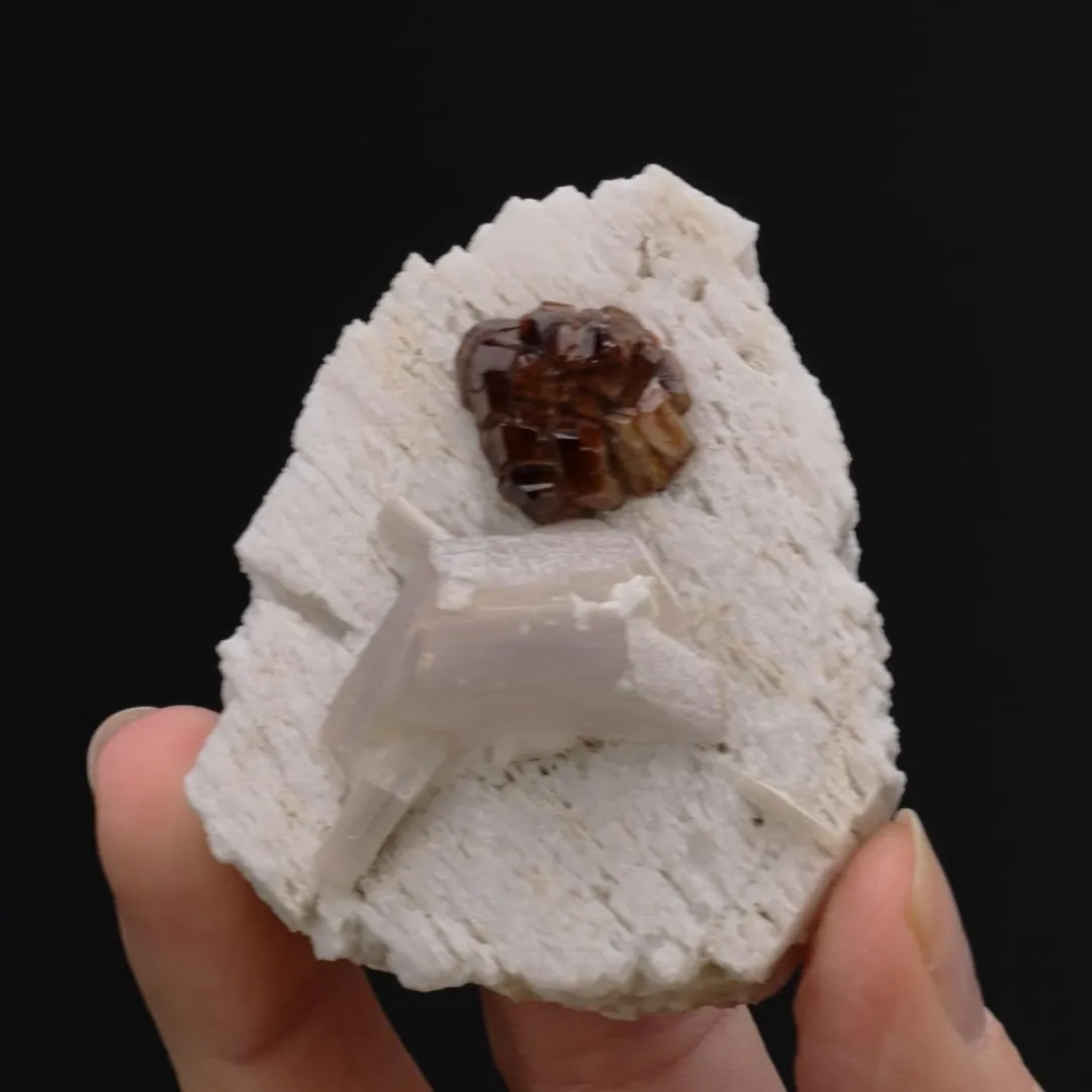 Microlite with Lepidolite on Microcline - image 2