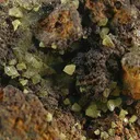 Miersite With Cuprite - image 4