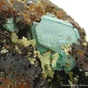 Miersite With Cuprite - image 3