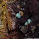 Miersite with Cuprite - image 1