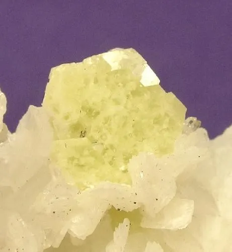 Milarite, Adularia (Var: Valencianite) - image 2