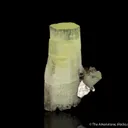 Milarite (huge crystal) - image 1