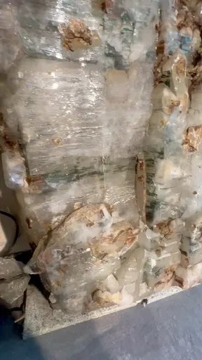 specimen video