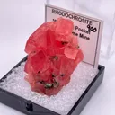 Millennium Pocket - image 3