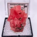 Millennium Pocket - image 1