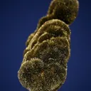 Millerite - image 4