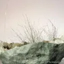 Millerite - image 3