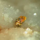 Millerite, Chalcopyrite, Calcite - image 3