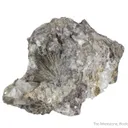 Millerite - image 5