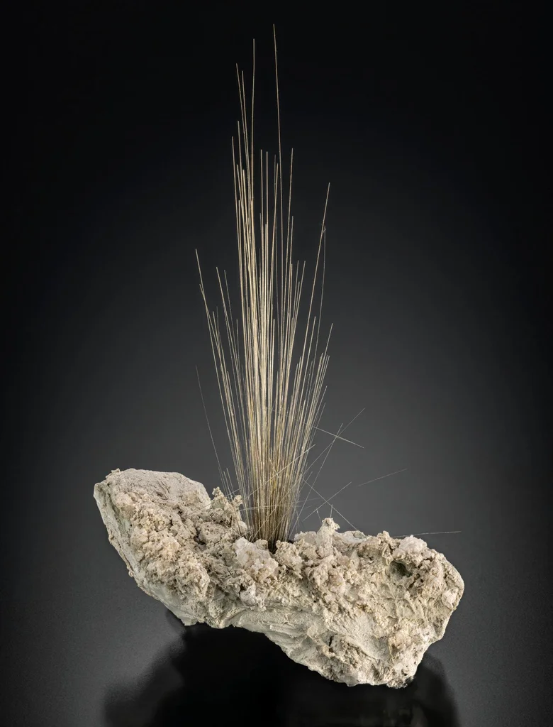 Millerite from Coralville, Iowa, USA image