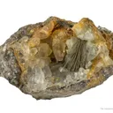 Millerite in Calcite Geode - image 3