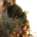 Millerite in Quartz Geode - image 2