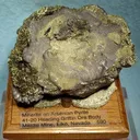 Millerite, Pyrite (Var: Arsenian Pyrite) - image 1