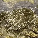 Millerite, Pyrite (Var: Arsenian Pyrite) - image 2