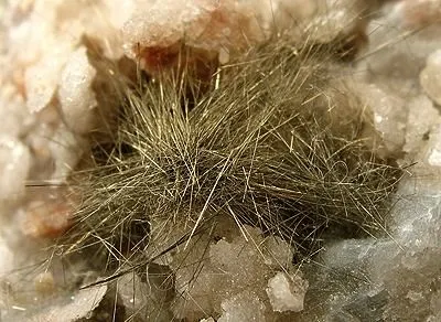 Millerite, Quartz - image 2