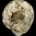 Millerite, Quartz - image 1