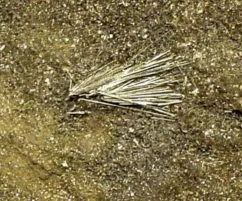 Millerite, Stilpnomelane - image 2