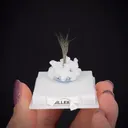 Millerite with Quartz - image 2