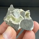 Millerite with Siderite - image 2