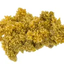 Mimetite - image 1