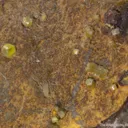 Mimetite - image 4