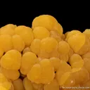 Mimetite (1969 Find) - image 2